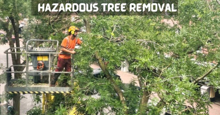 Hazardous Tree Removal