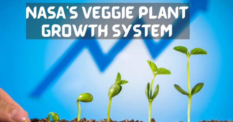 NASA's Veggie Plant Growth System