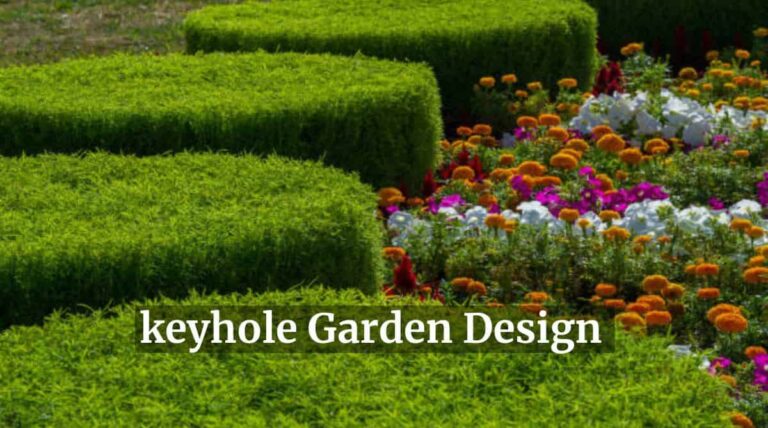 keyhole Garden Design-